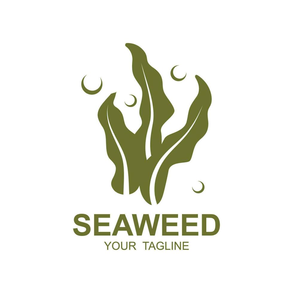 zeewier logo ontwerp, onderwater- fabriek illustratie, schoonheidsmiddelen en voedsel ingrediënten vector