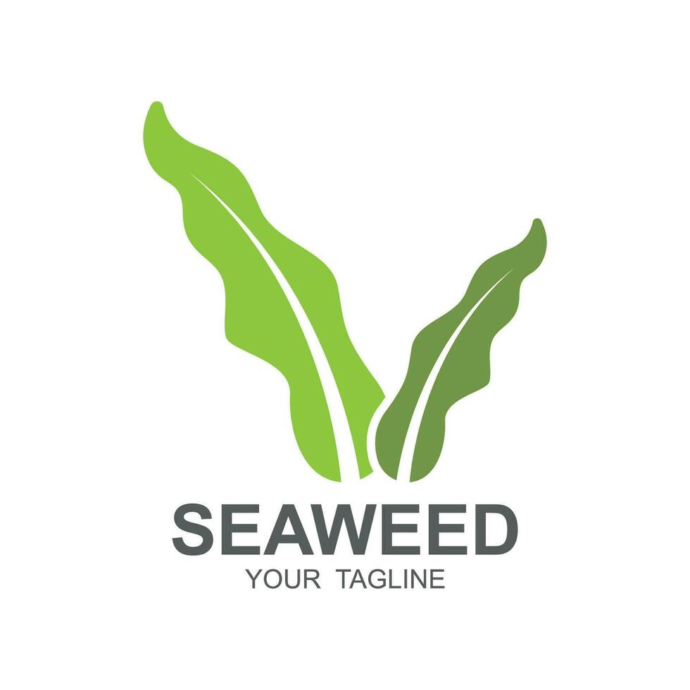 zeewier logo ontwerp, onderwater- fabriek illustratie, schoonheidsmiddelen en voedsel ingrediënten vector