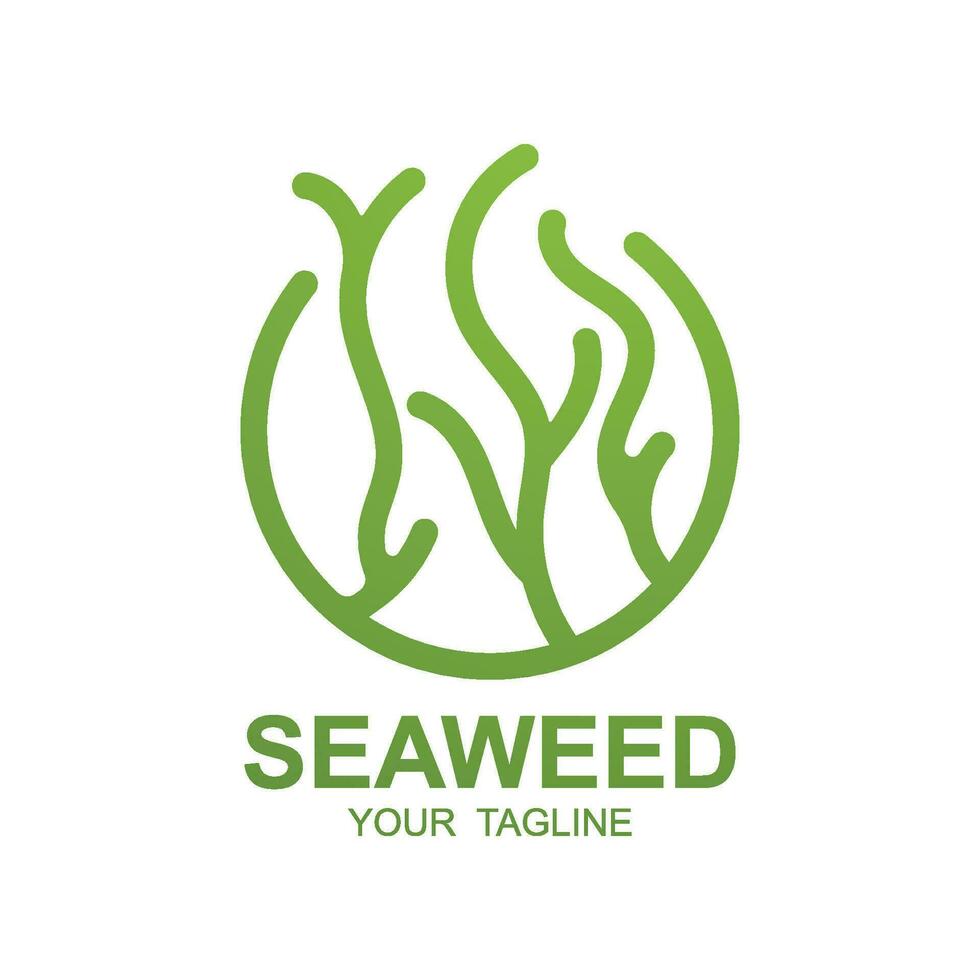 zeewier logo ontwerp, onderwater- fabriek illustratie, schoonheidsmiddelen en voedsel ingrediënten vector