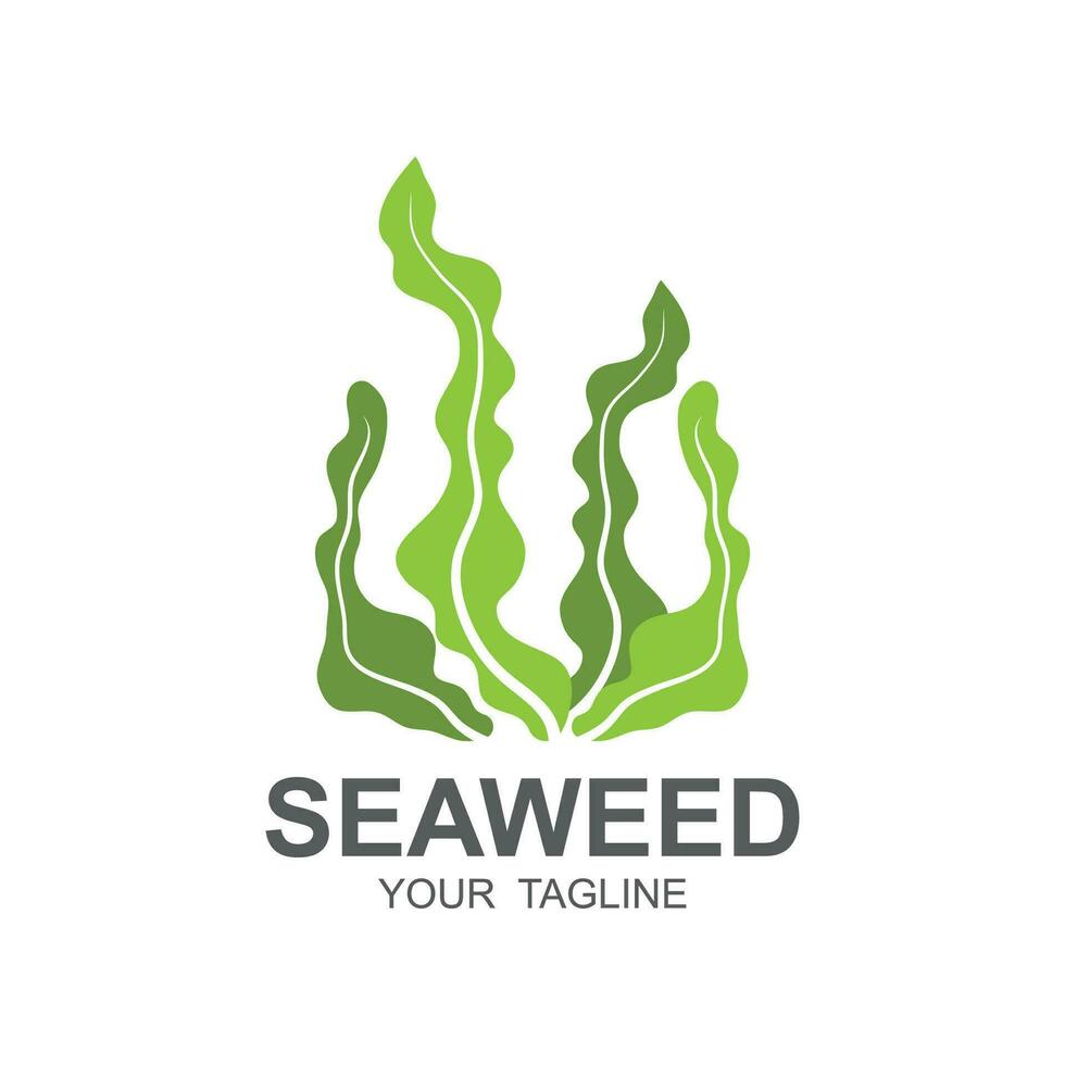 zeewier logo ontwerp, onderwater- fabriek illustratie, schoonheidsmiddelen en voedsel ingrediënten vector