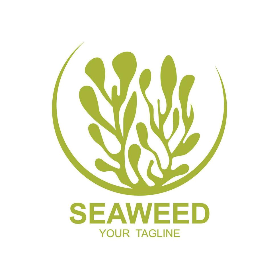 zeewier logo ontwerp, onderwater- fabriek illustratie, schoonheidsmiddelen en voedsel ingrediënten vector