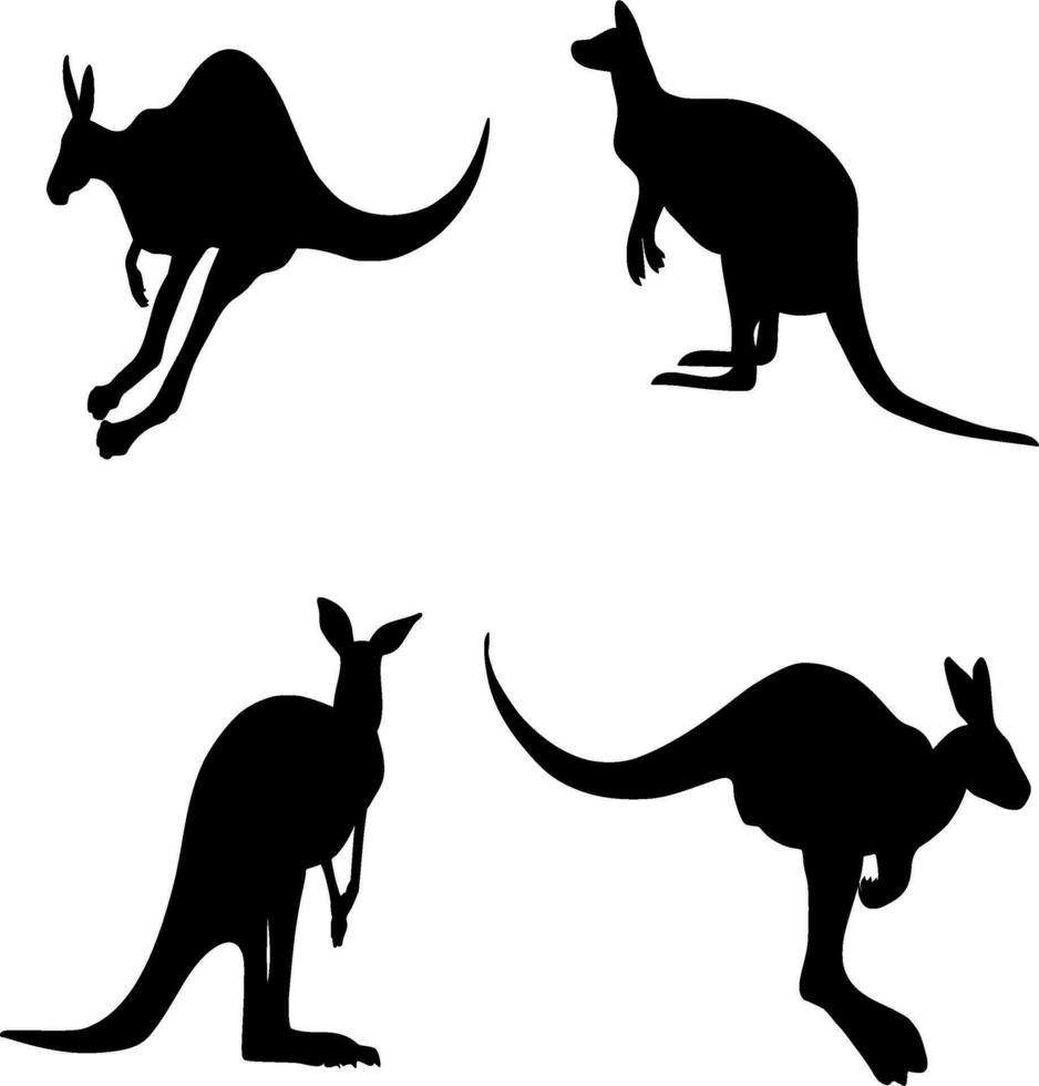 kangoeroe silhouet vector Aan wit achtergrond