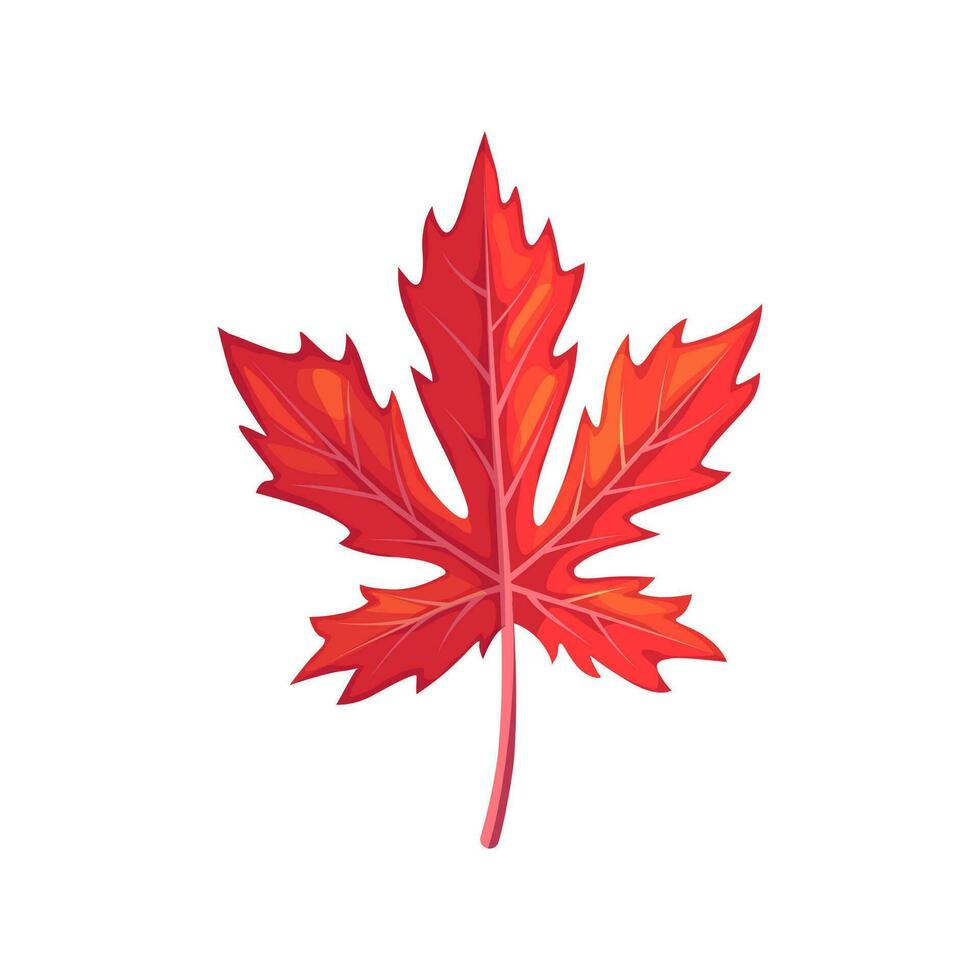 rood esdoorn- blad gebladerte belichaamt herfst vurig tinten, vector