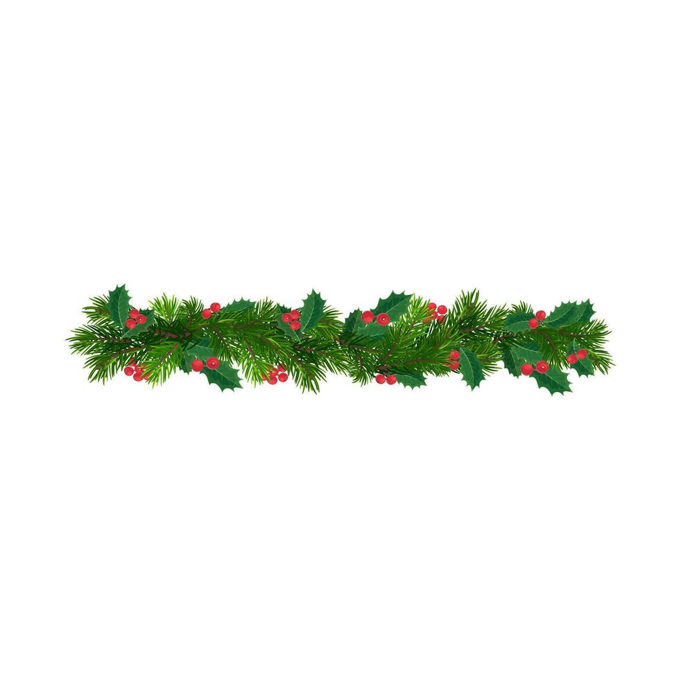 Kerstmis Spar pijnboom boom tak, hulst blad grens vector