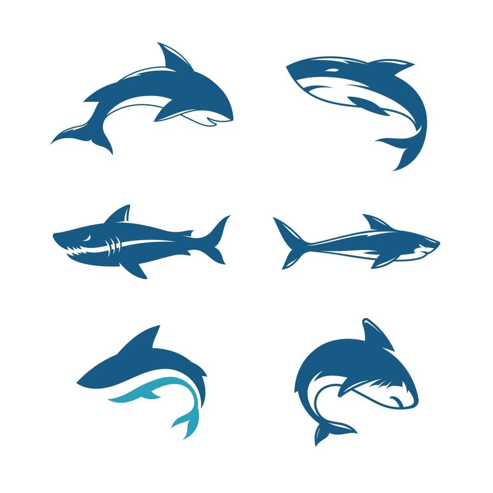 haai illustratie pictogram ontwerpsjabloon vector