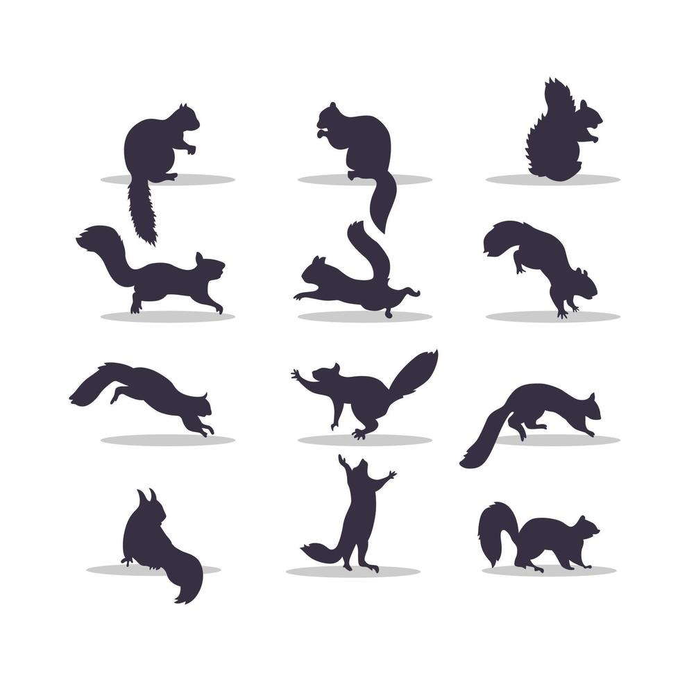 eekhoorn silhouet vector illustratie ontwerp