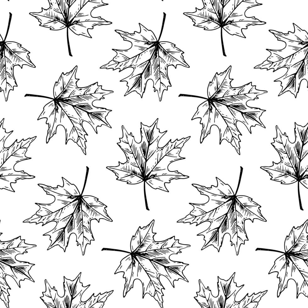 botanisch naadloos patroon met esdoornbladeren vector