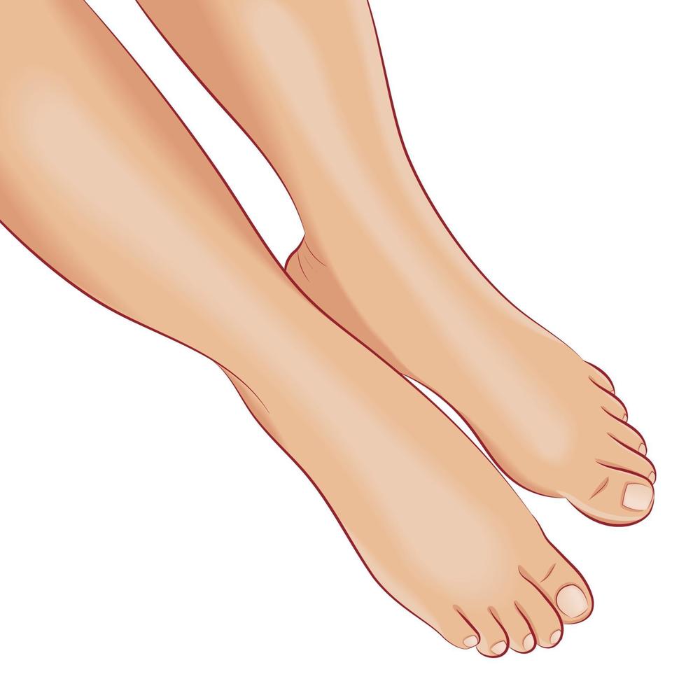 blote vrouwelijke voeten met neutrale beige pedicure. vector