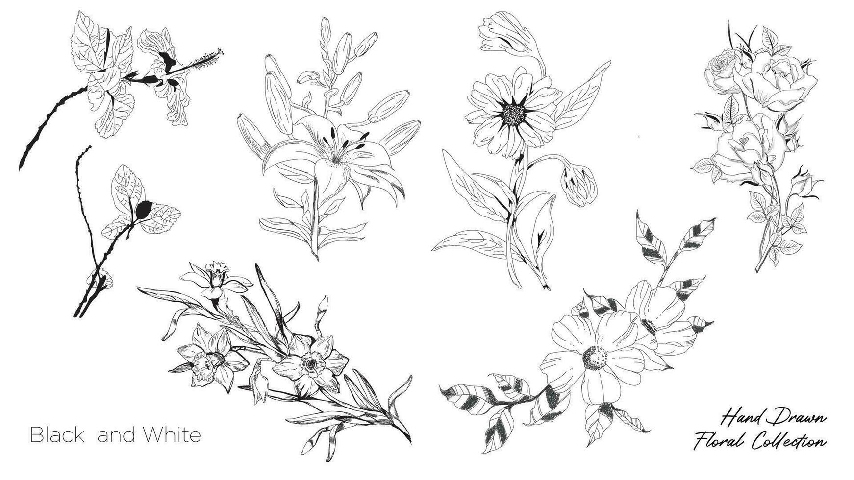 hand- getrokken bloemen illustratie vector
