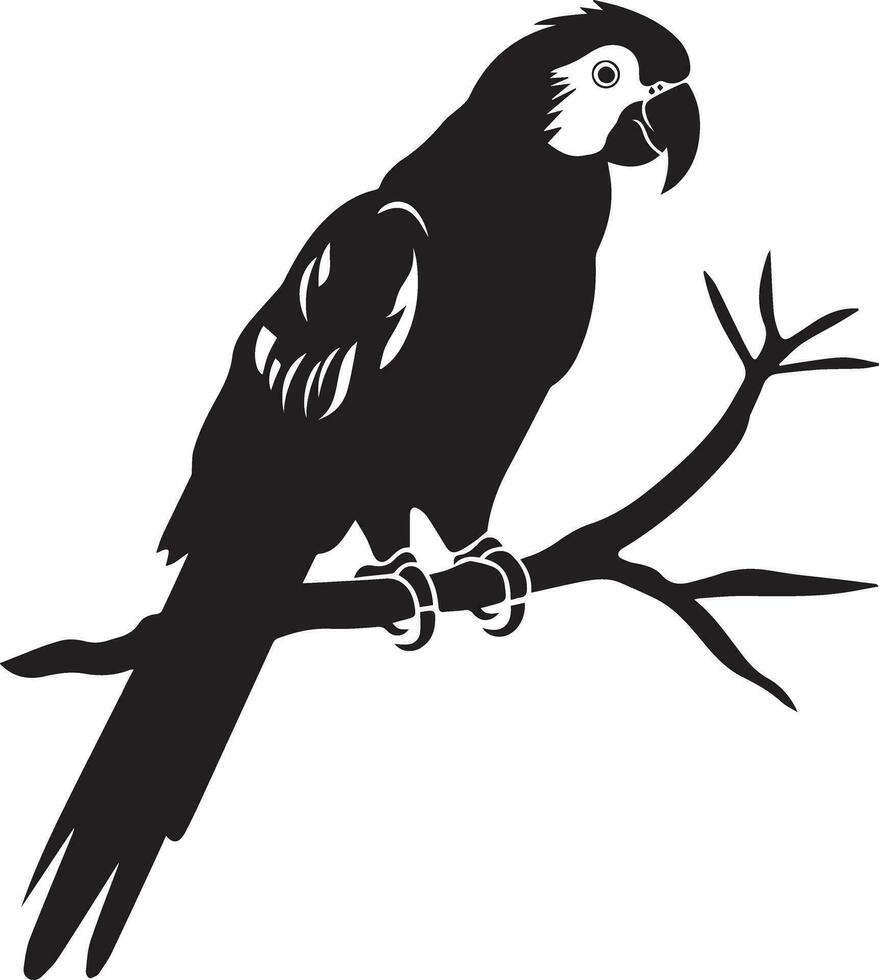 papegaai vector silhouet illustratie zwart kleur