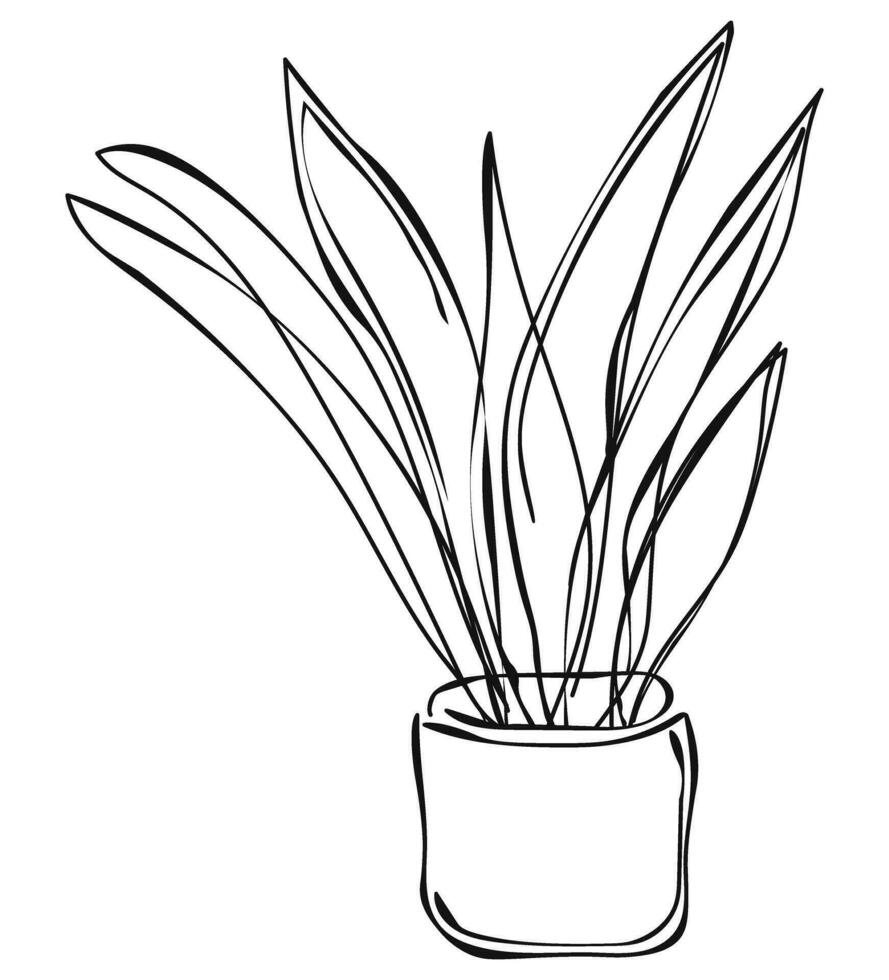 hand- getrokken ficus silhouet kamerplant, binnen- bloem in pot. schetsen. schets lineair tekening vector illustratie. geïsoleerd Aan wit achtergrond. bladeren. voor desig presentatie kaart, banier poster winkels