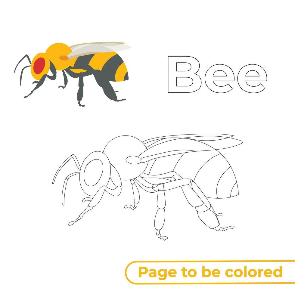 bijen kleurplaat voor kinderen vector