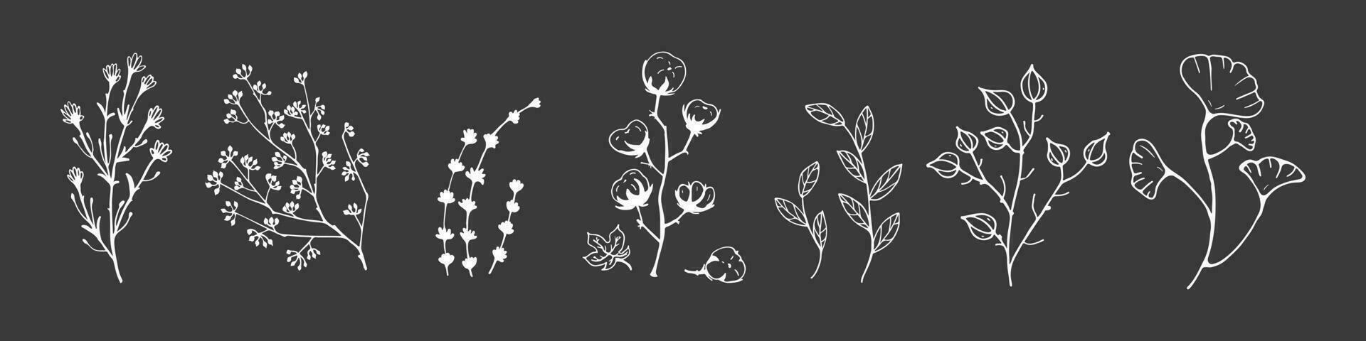 wit lijn vector droog kruiden, droog bloemen. natuurlijk geneeskunde illustratie. katoen, bladeren en twijgen
