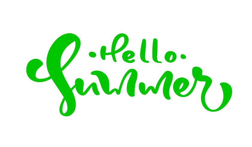 Kalligrafie belettering zin Hallo zomer vector