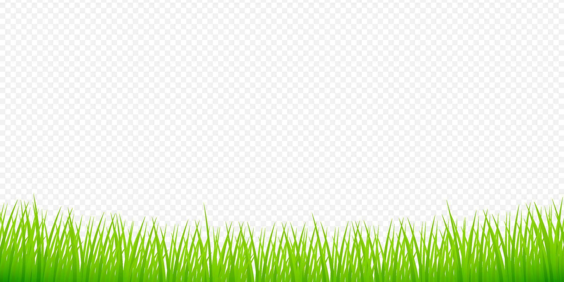waterverf groen illustratie. 3d vector achtergrond. geïsoleerd vector icoon. 3d gras voor banier ontwerp.