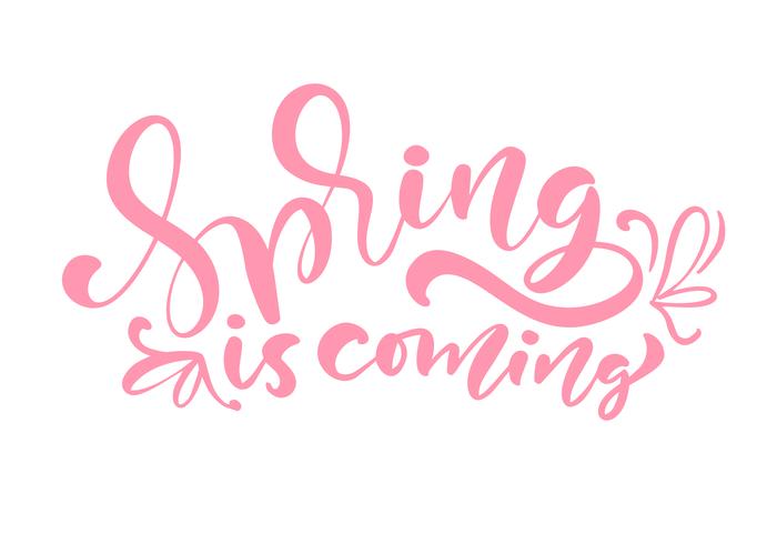 Pink Color Calligraphy lettering phrase Lente komt eraan vector