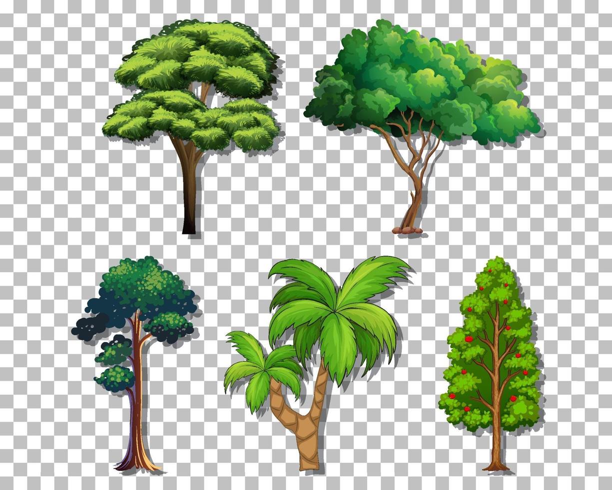 set van verschillende bomen vector