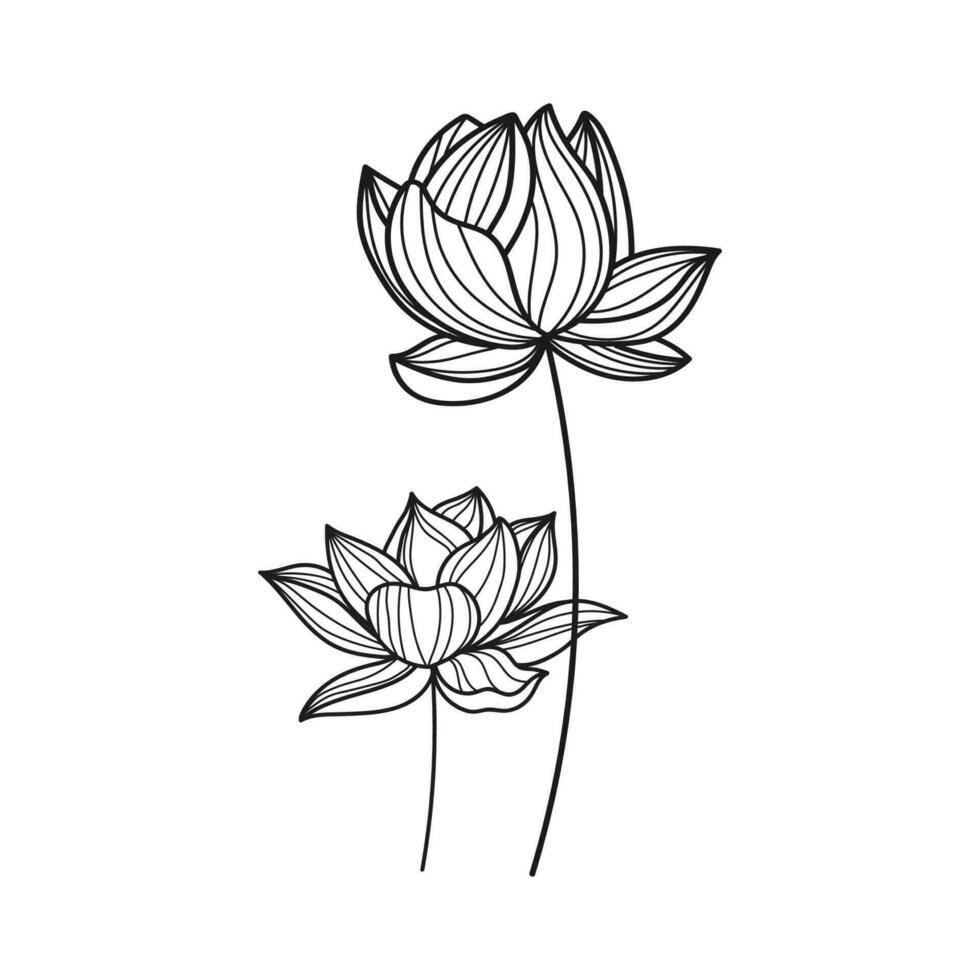 vector hand- getrokken bloem lotus doorbladert naturals geïsoleerd sticker zwart botanisch lijn kunst illustratie