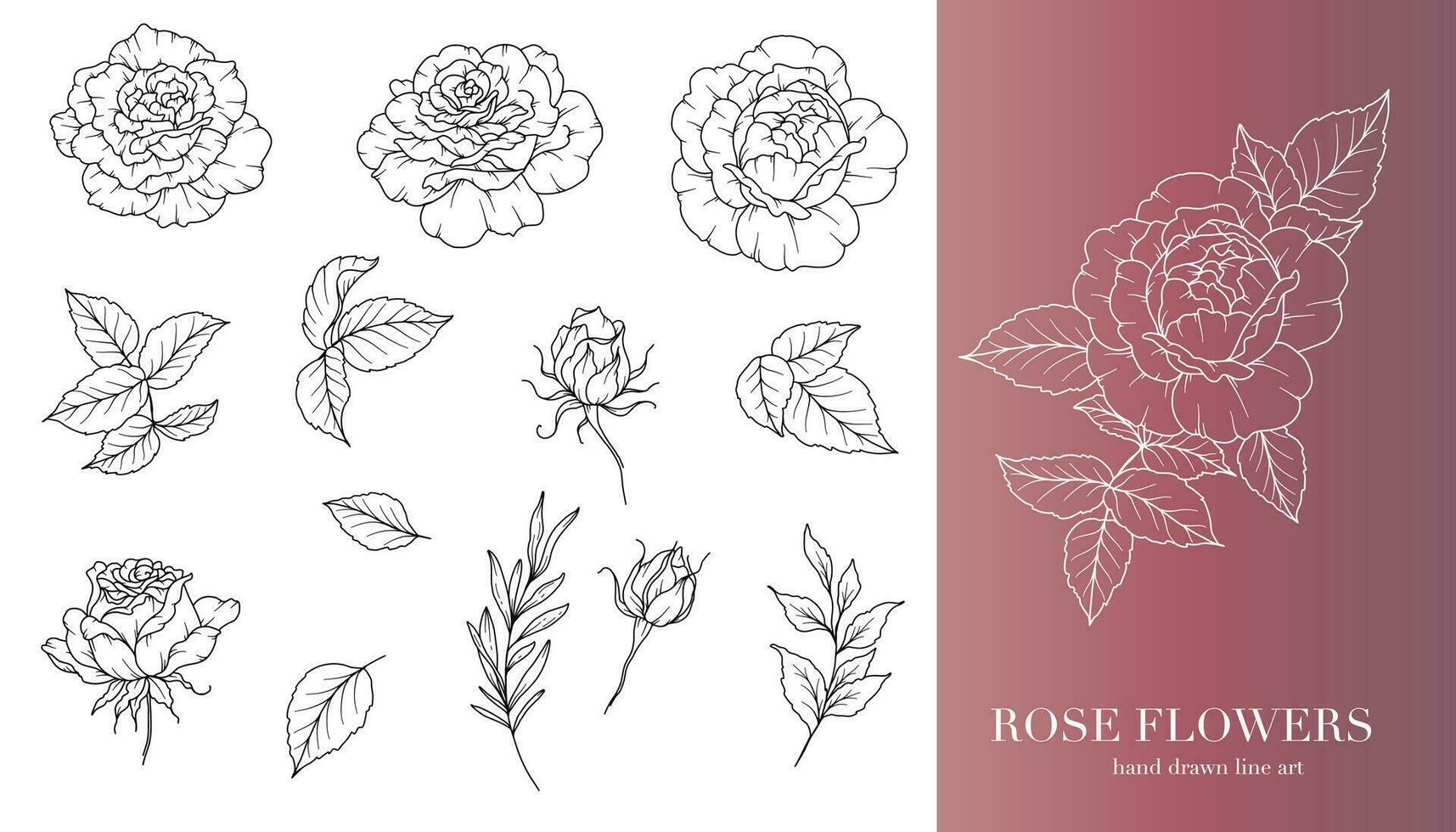 roos bloem lijn kunst. bloemen kaders en boeketten lijn kunst. prima lijn rozen kaders hand- getrokken illustratie. hand- trek schets bladeren en bloemen. botanisch kleur bladzijde. rozen pioen geïsoleerd vector