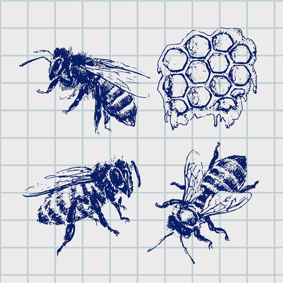 handgetekende bijenschets zwarte honing vectorillustratie vector