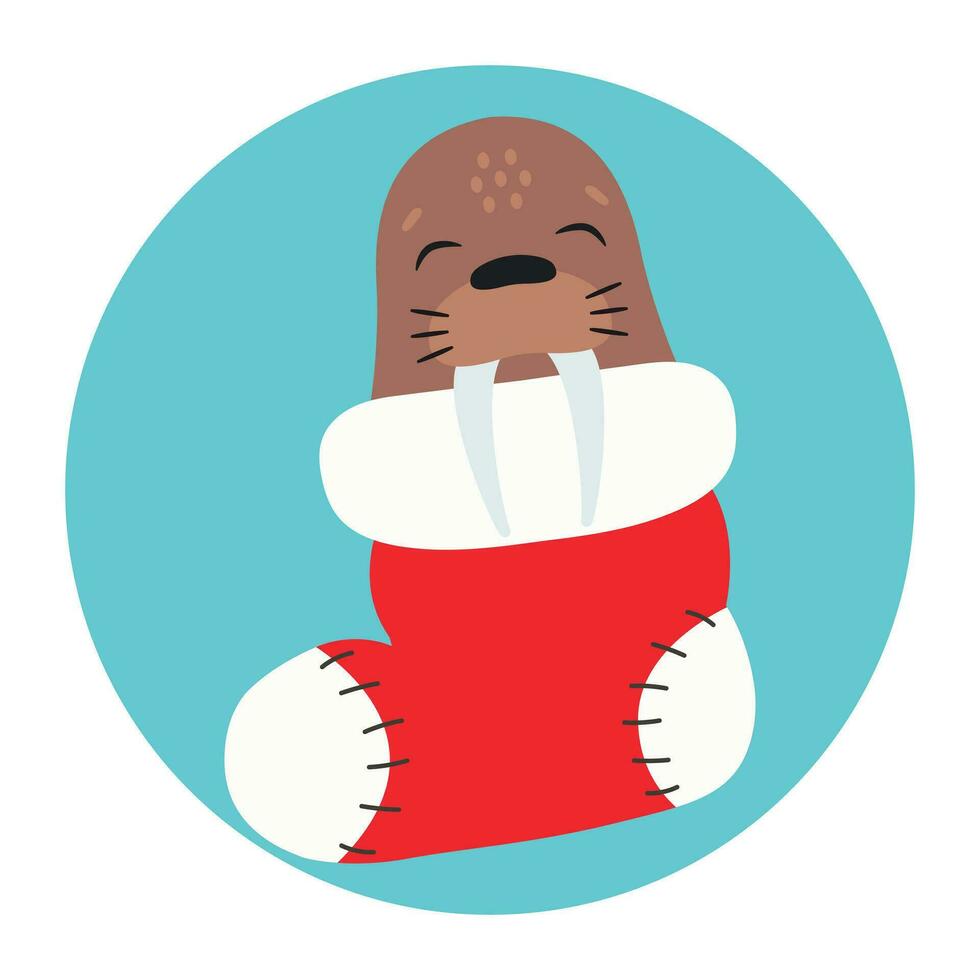 schattig walrus slaapt in een Kerstmis kous. gelukkig vakantie. winter dier. vector illustratie.