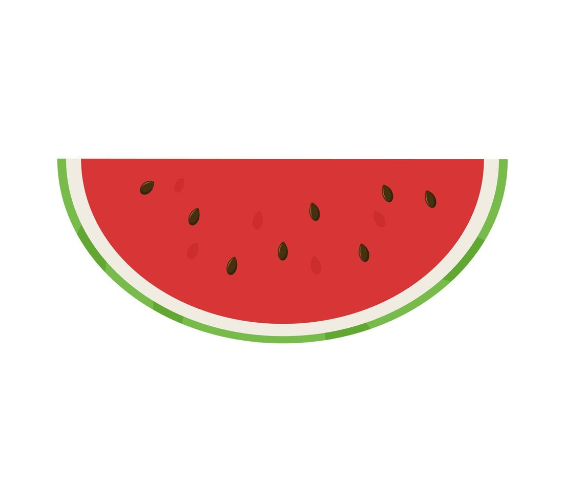 snijd een halve rijpe rode watermeloen in plakjes. platte vectorillustratie vector