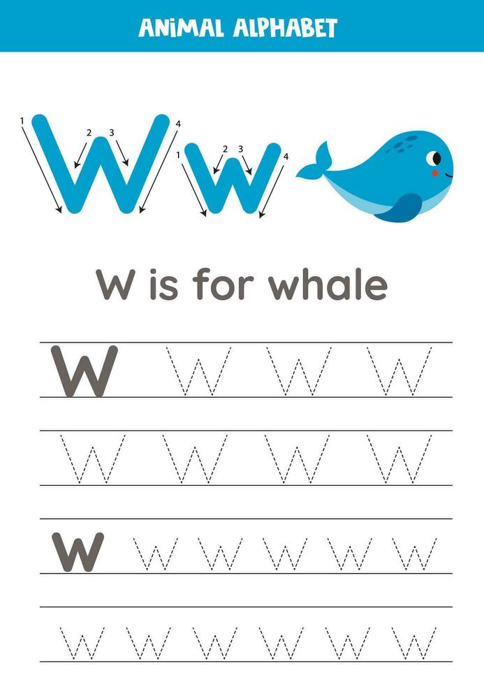 traceren alfabet brieven voor kinderen. dier alfabet. w is voor walvis. vector