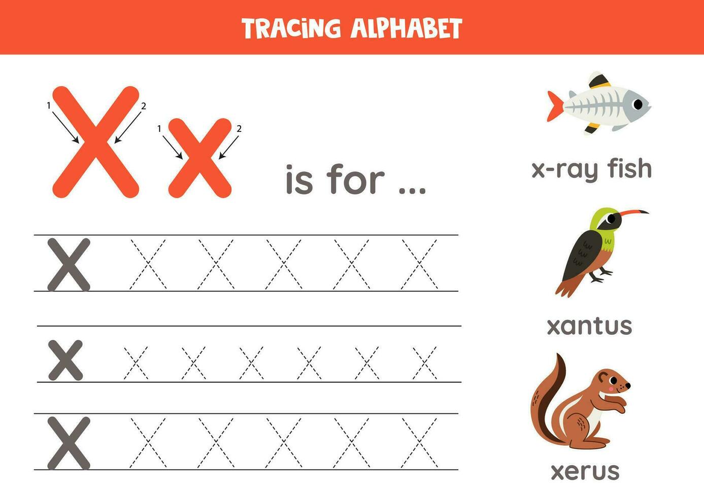 traceren allemaal brieven van Engels alfabet. peuter- werkzaamheid voor kinderen. schrijven hoofdletters en kleine letters brief x. afdrukbare werkblad. schattig illustratie van xantus, x-ray vis, xerus. vector