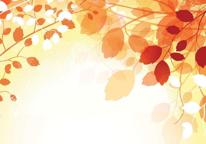 Warme Herfst Wallpaper Vector