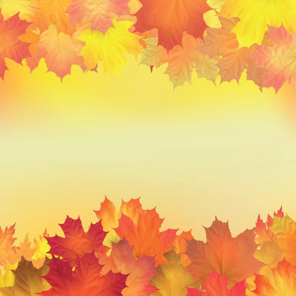 rode, oranje, bruine en gele herfstbladeren. vector