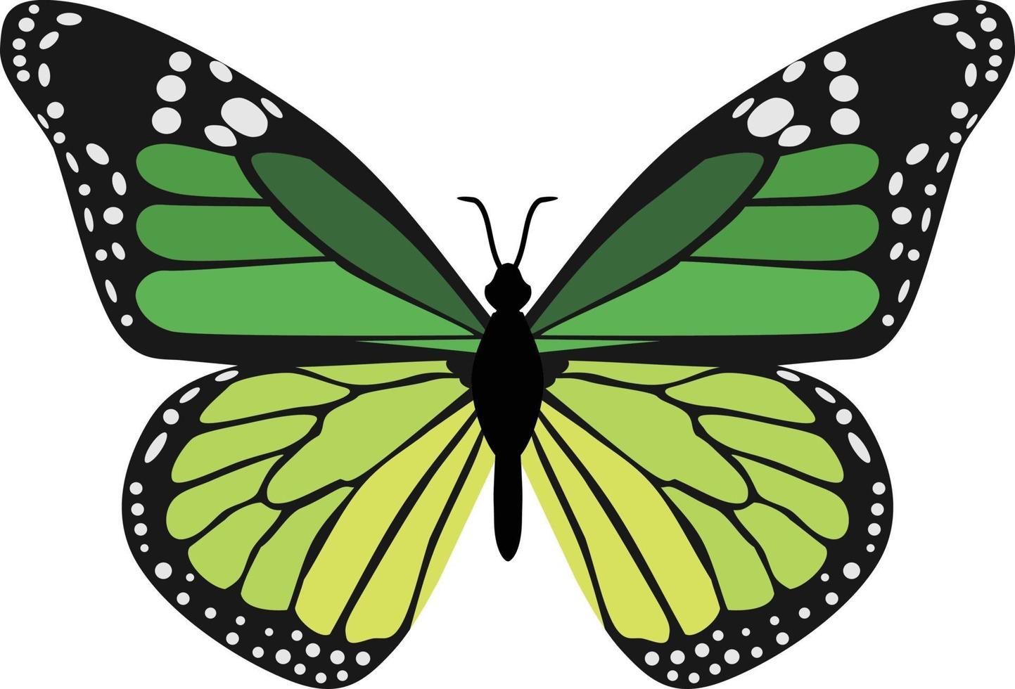 groene vlinder insect dier vector
