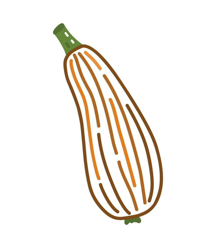 courgette geïsoleerd op een witte achtergrond. vector doodle illustratie