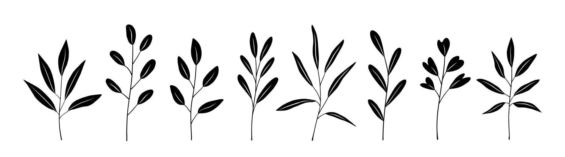 botanische set zwarte silhouettakjes met bladeren vector
