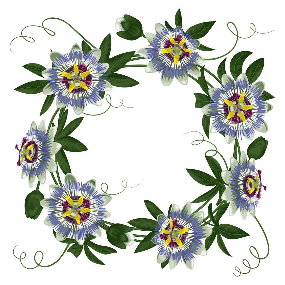 passiflora rond frame vector