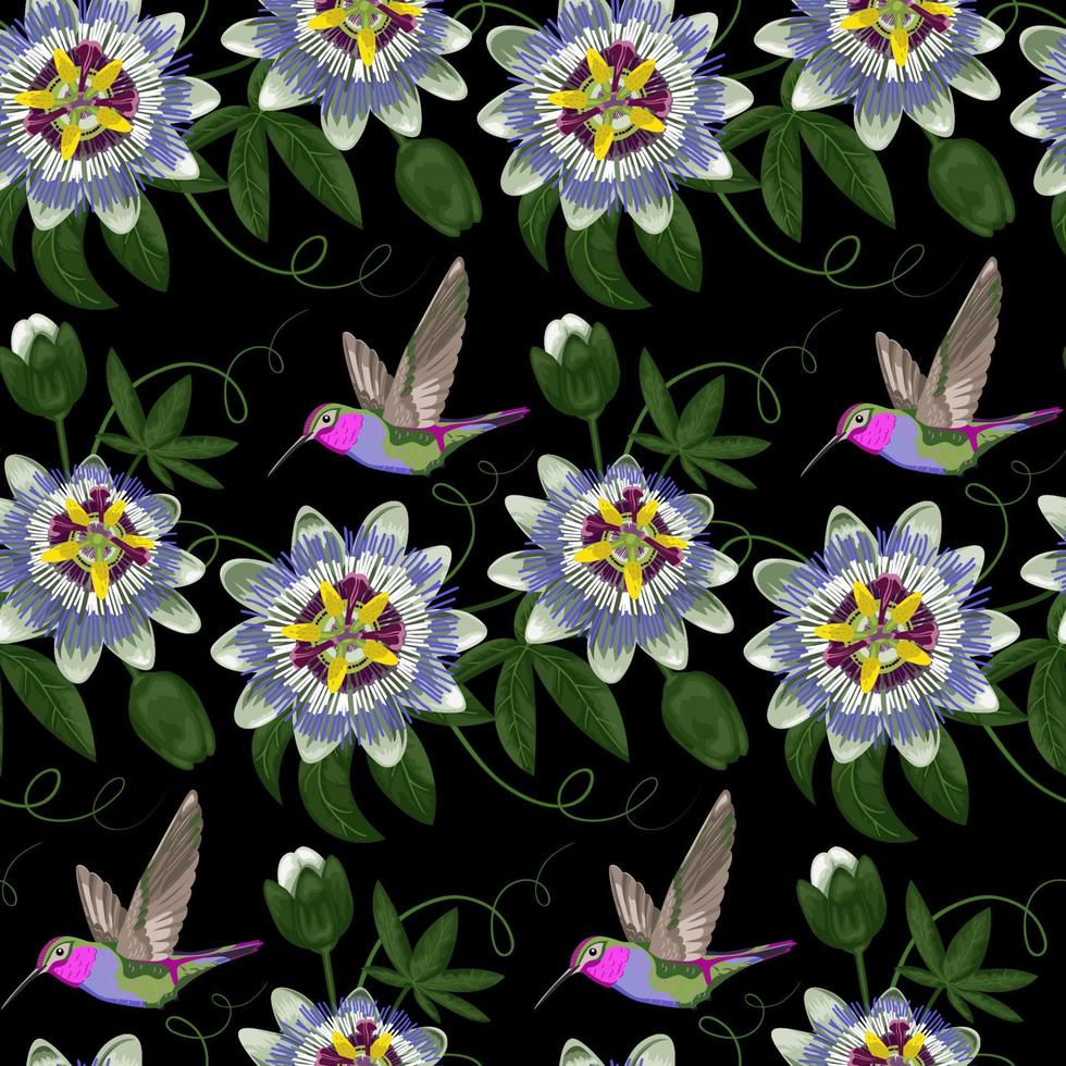 kolibrie en passiflora naadloos patroon vector