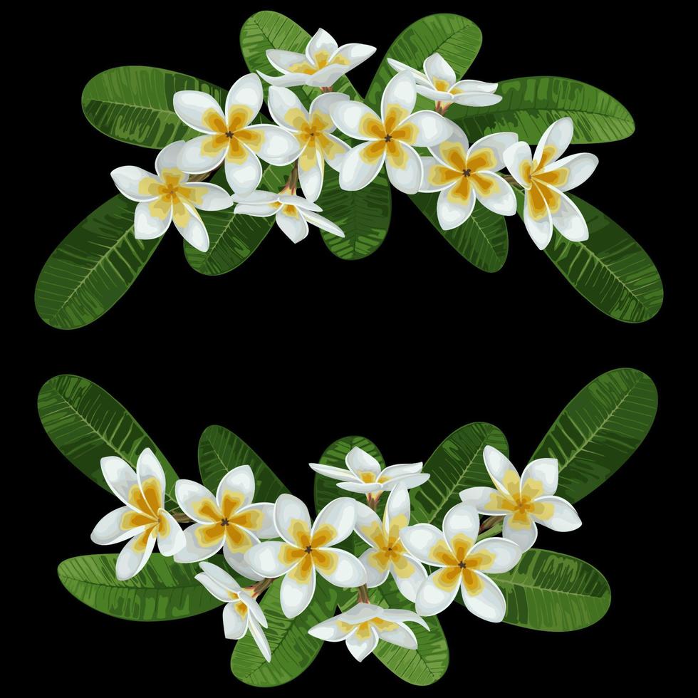 plumeria tropisch boeket vector