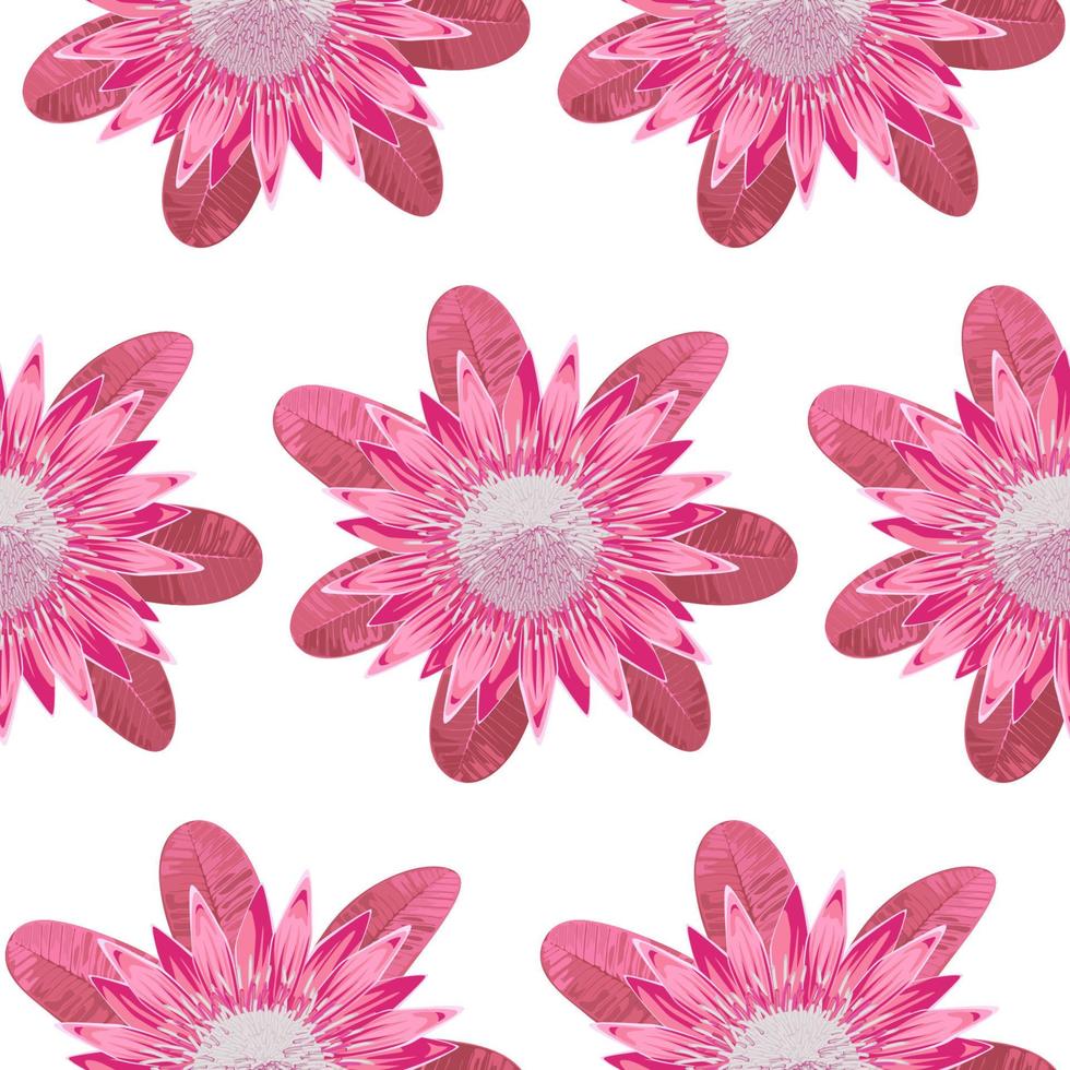 protea roze naadloos patroon vector