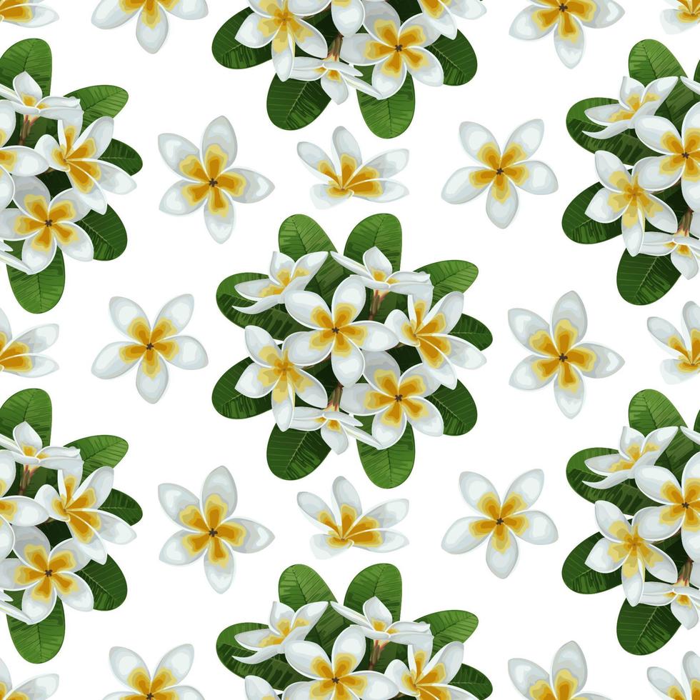 Plumeria naadloos patroon vector