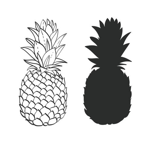 Zwart en wit Pineapple vector
