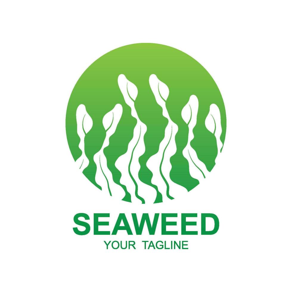 zeewier logo ontwerp, onderwater- fabriek illustratie, schoonheidsmiddelen en voedsel ingrediënten vector