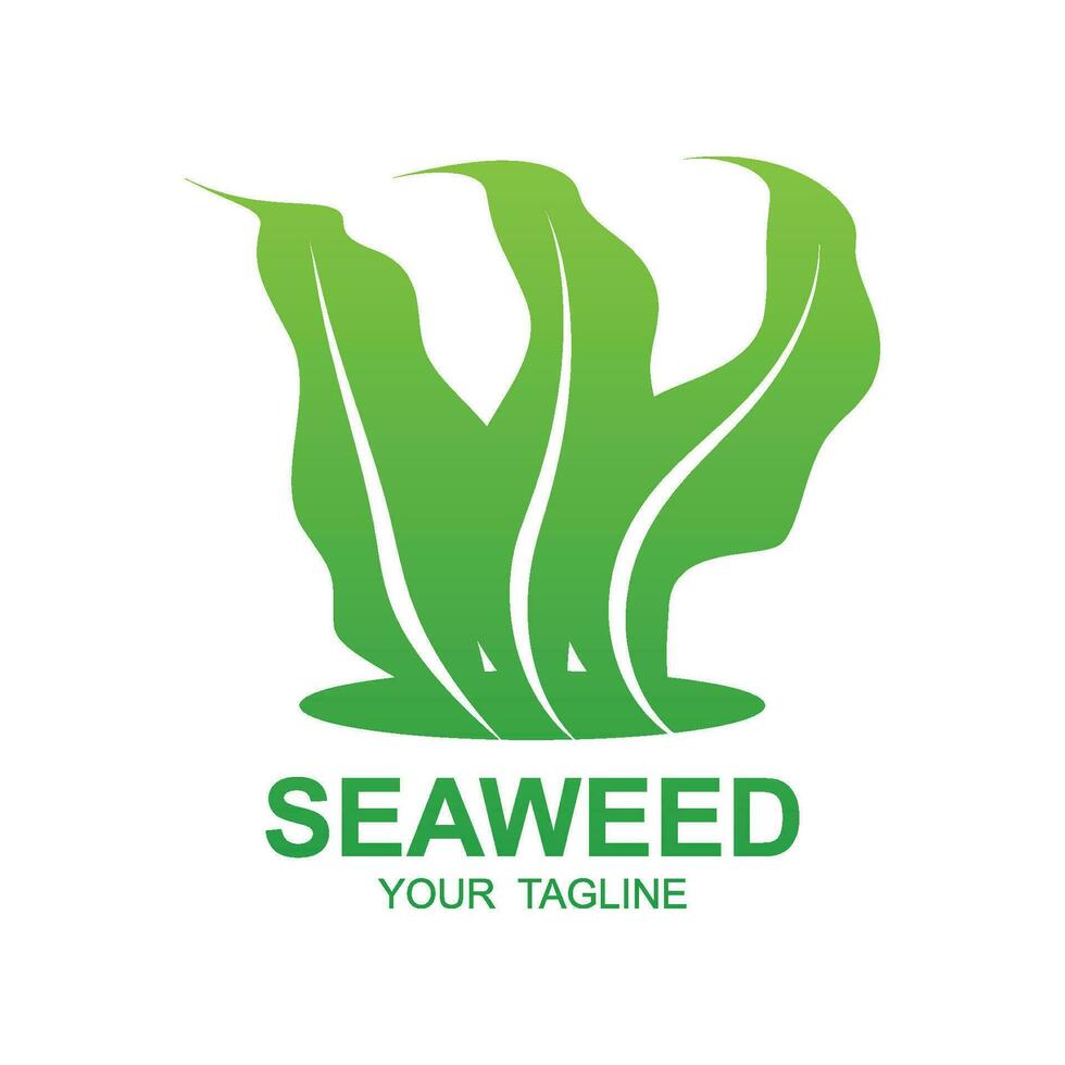 zeewier logo ontwerp, onderwater- fabriek illustratie, schoonheidsmiddelen en voedsel ingrediënten vector