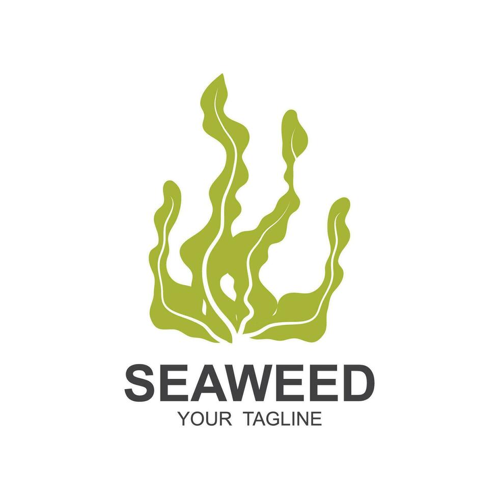 zeewier logo ontwerp, onderwater- fabriek illustratie, schoonheidsmiddelen en voedsel ingrediënten vector