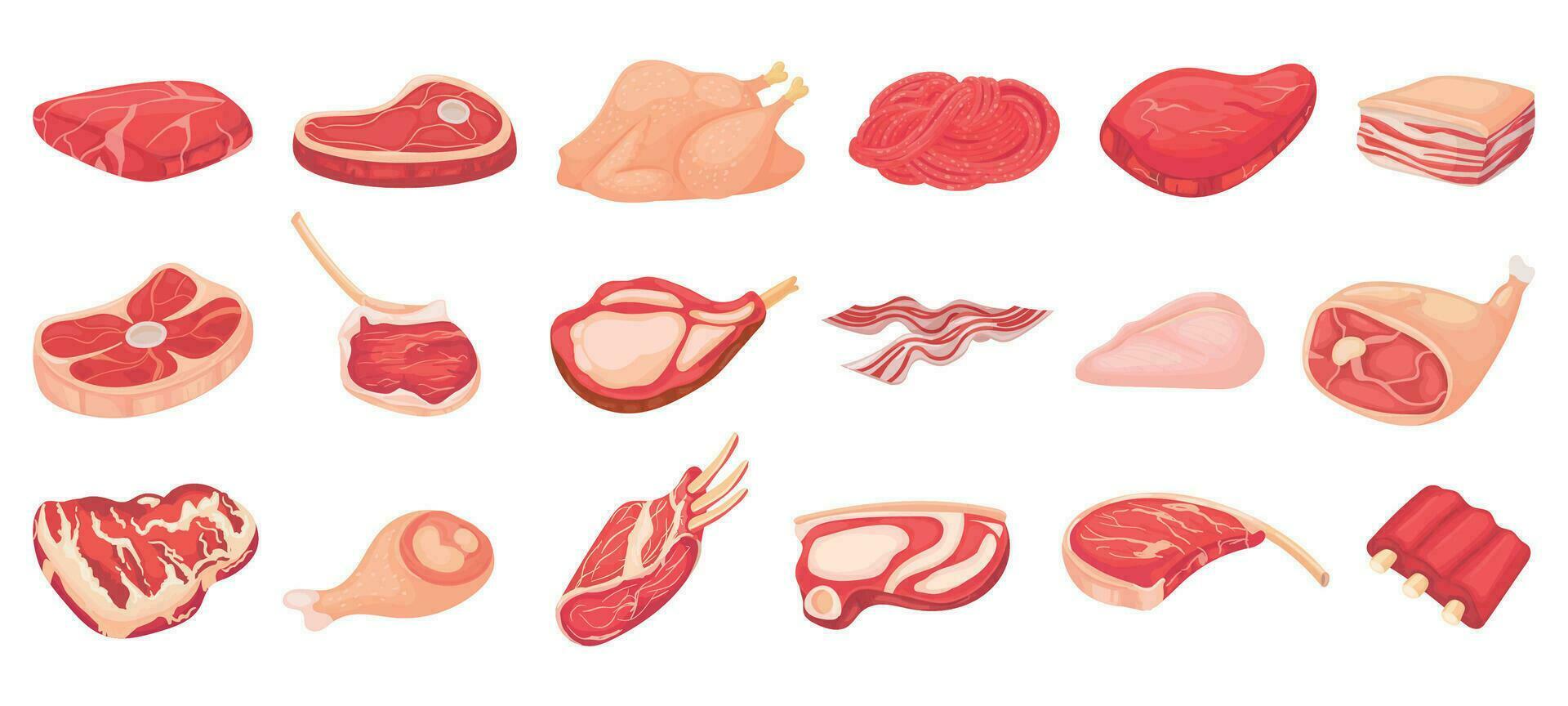 tekenfilm rauw vlees. spek, steak en rundvlees fijngehakt vlees. rek van ribben, kip borst en varkensvlees lendenen vector reeks