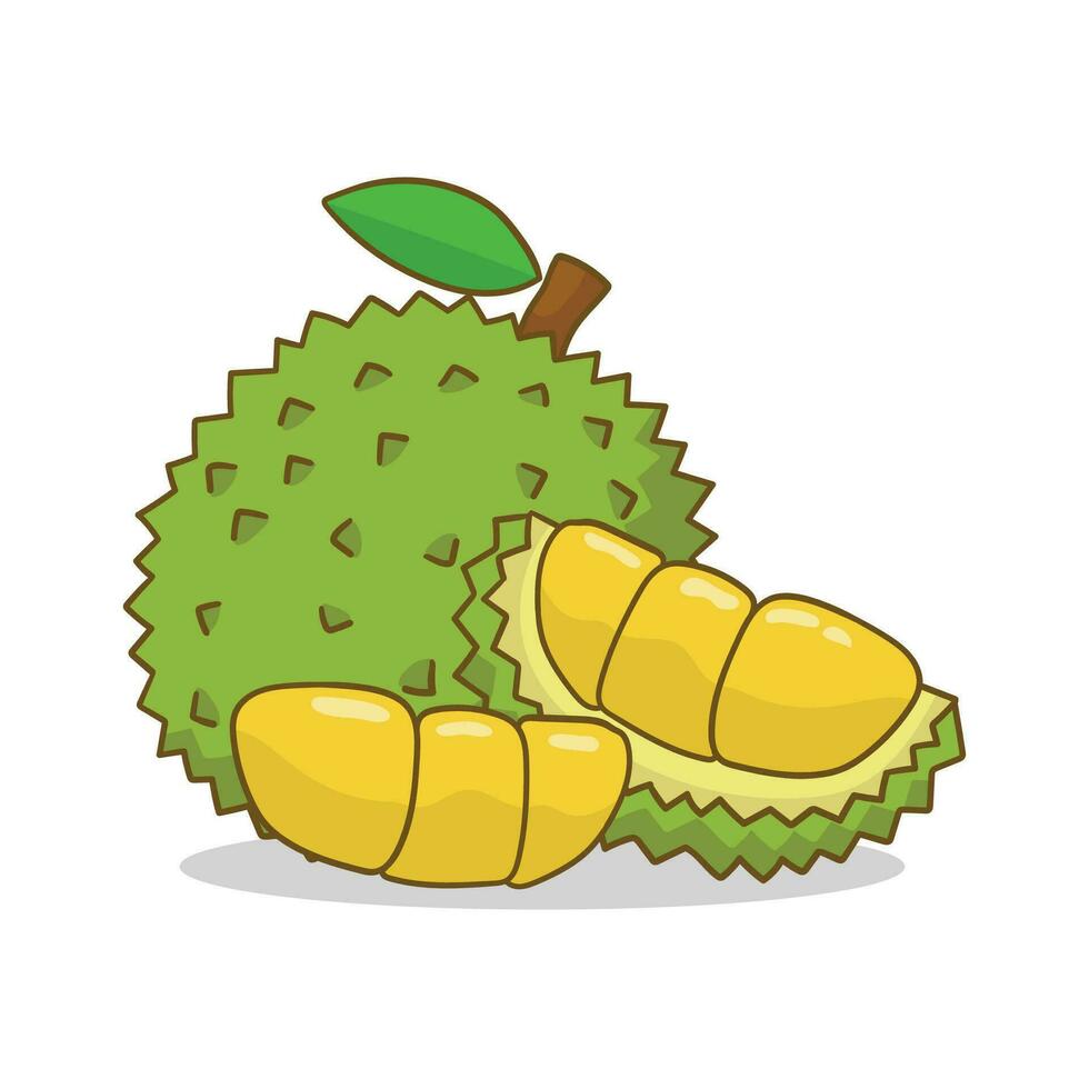 illustratie vector durian vlak ontwerp