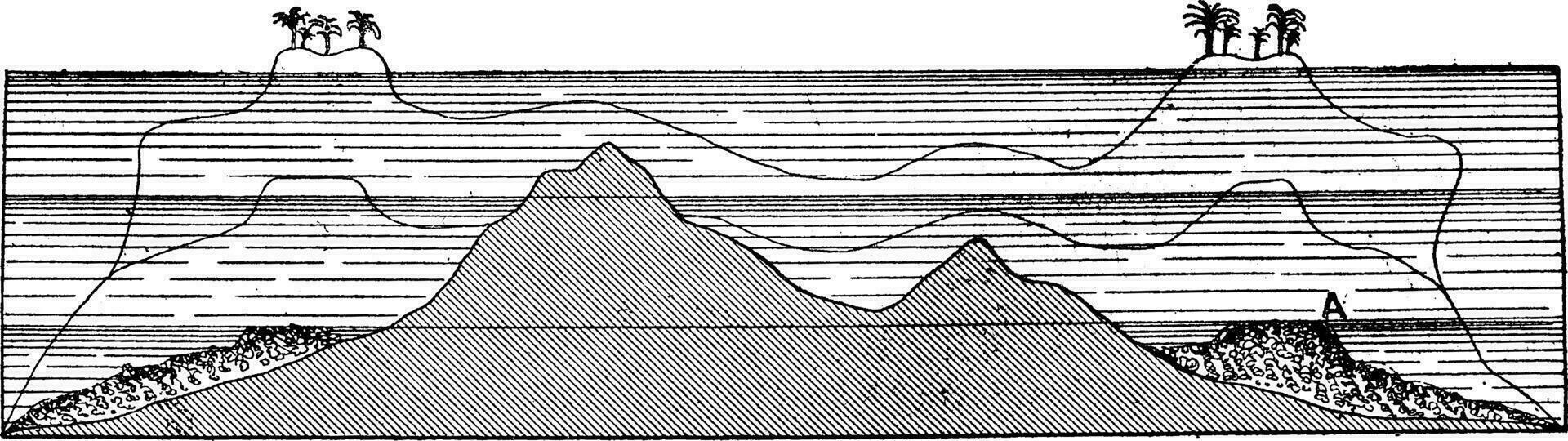 verticaal sectie door een koraal eiland tonen haar opeenvolgende fasen, wijnoogst gravure. vector