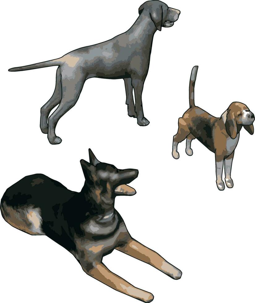 3d modellen van honden, illustratie, vector Aan wit achtergrond.