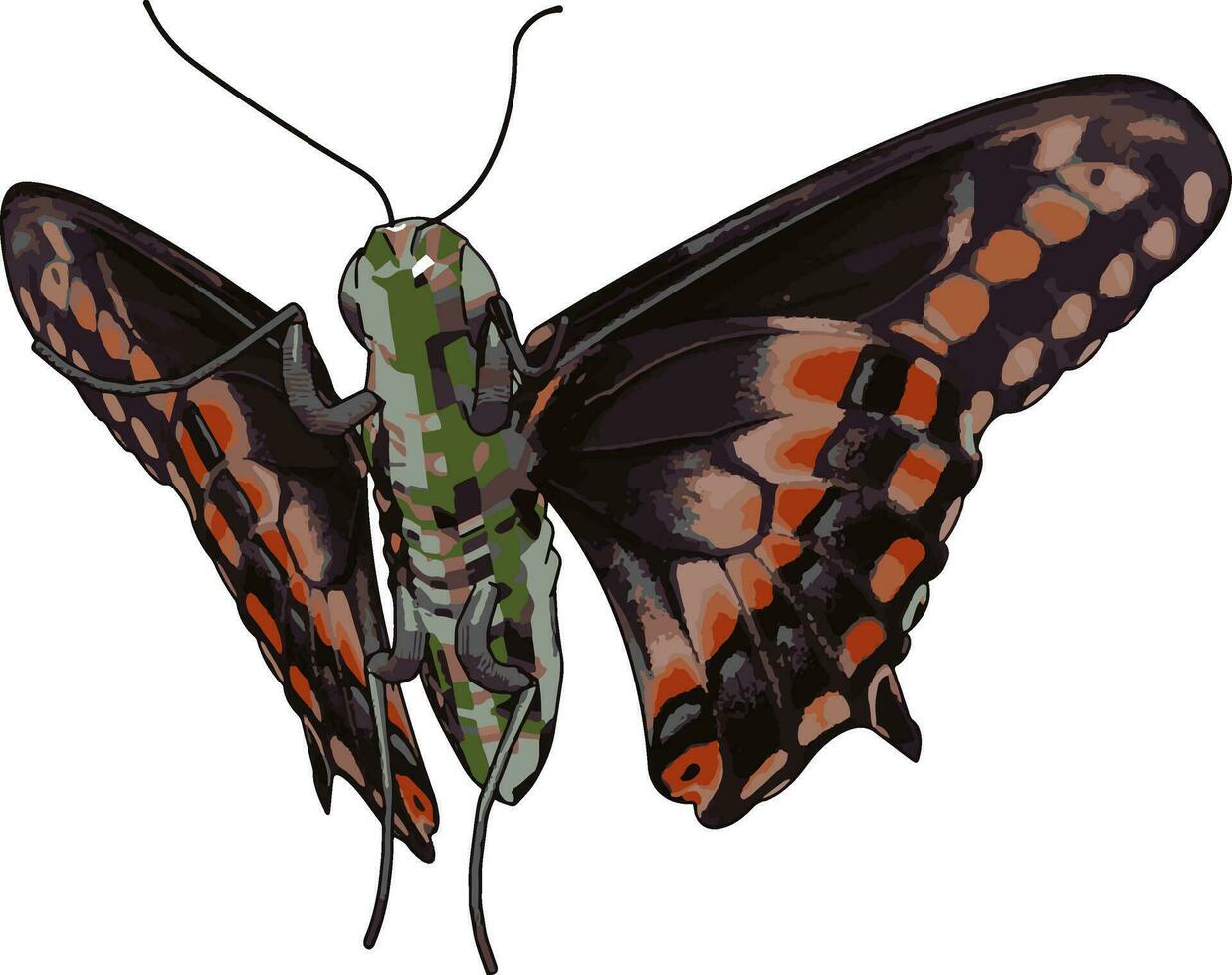 3d vlinder met details, illustratie, vector Aan wit achtergrond.
