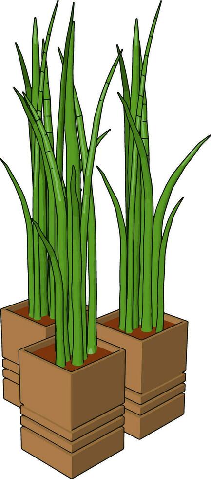 gras in een pot, illustratie, vector Aan wit achtergrond.