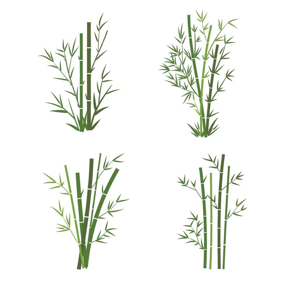 bamboe boom blad vectorillustratie vector