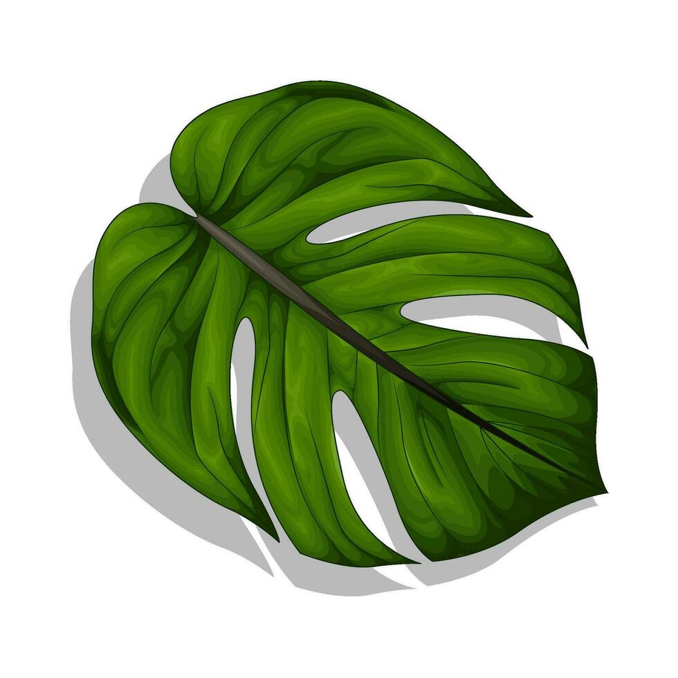 blad natuur illustratie vector